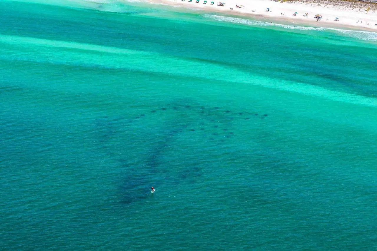 Holiday home Sea Gypsy Villa Destin United States